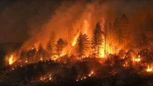 Warning: 2026 could bring one of the most severe bushfire seasons in recent history